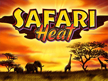 Бонусы для игры в Safari Heat